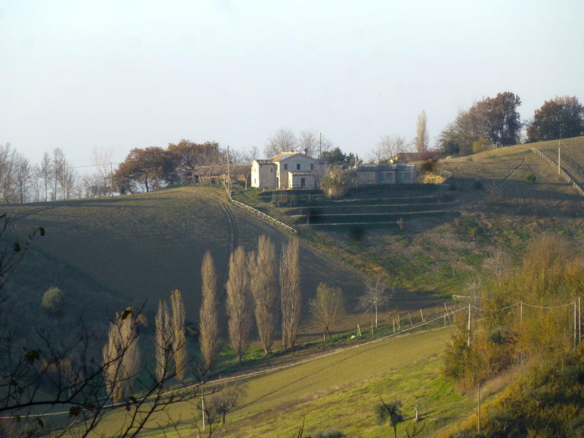 Locanda San Francesco Montecarotto ภายนอก รูปภาพ